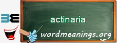 WordMeaning blackboard for actinaria